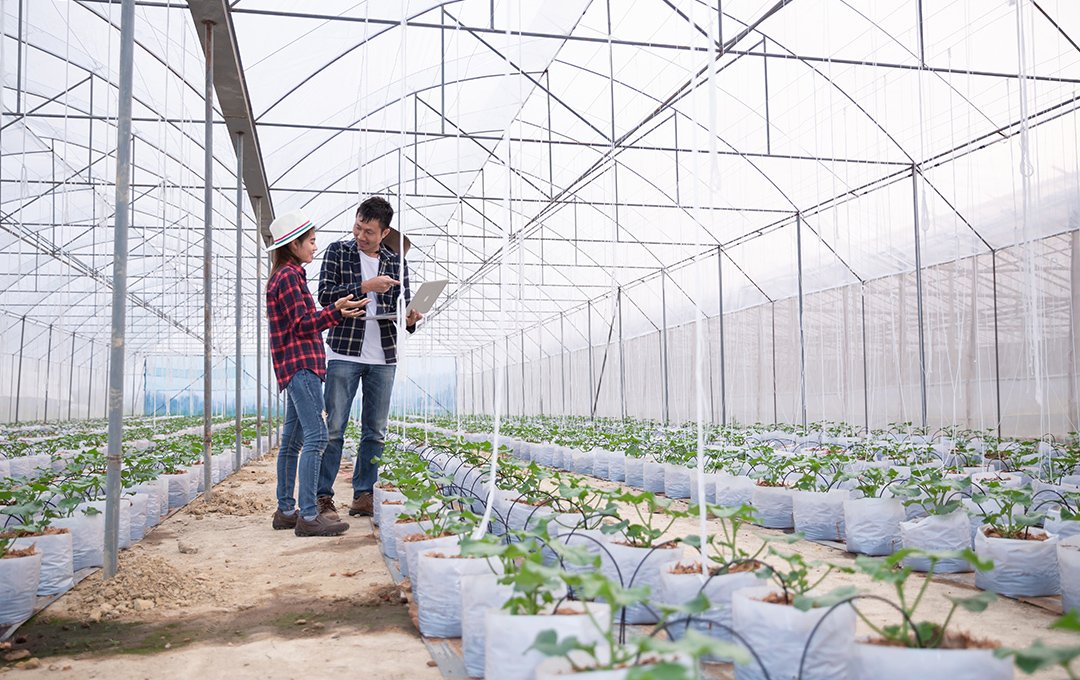 Anahtar Teslim Akıllı Sera Uygulaması