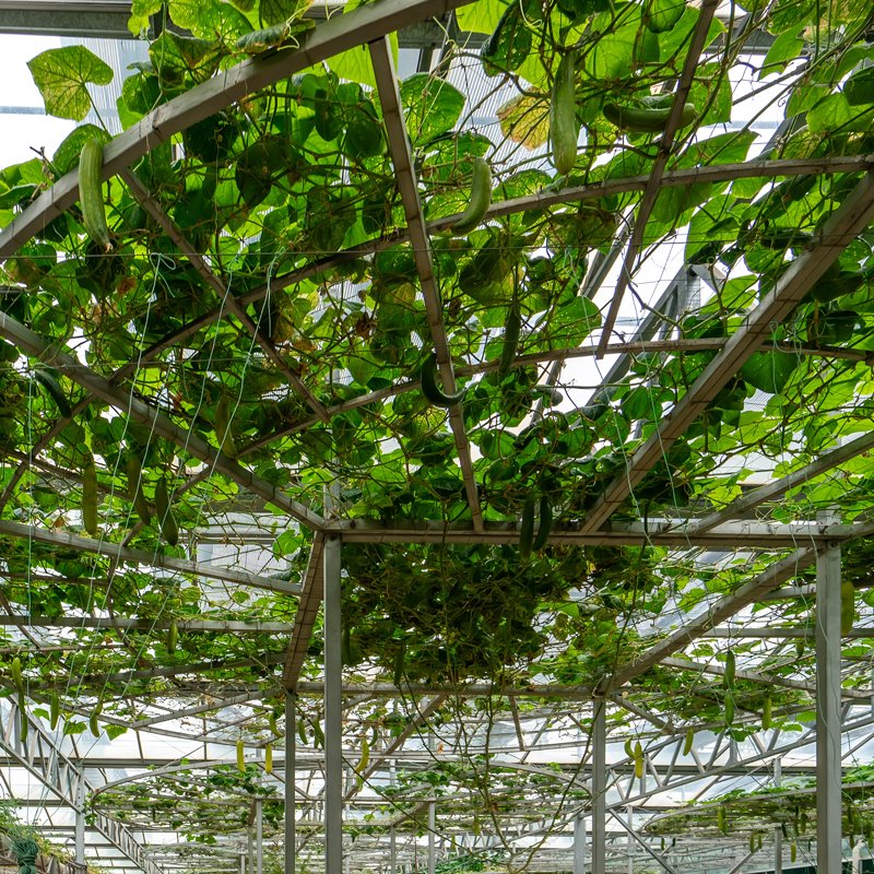 Gutter Askı Sistemleri