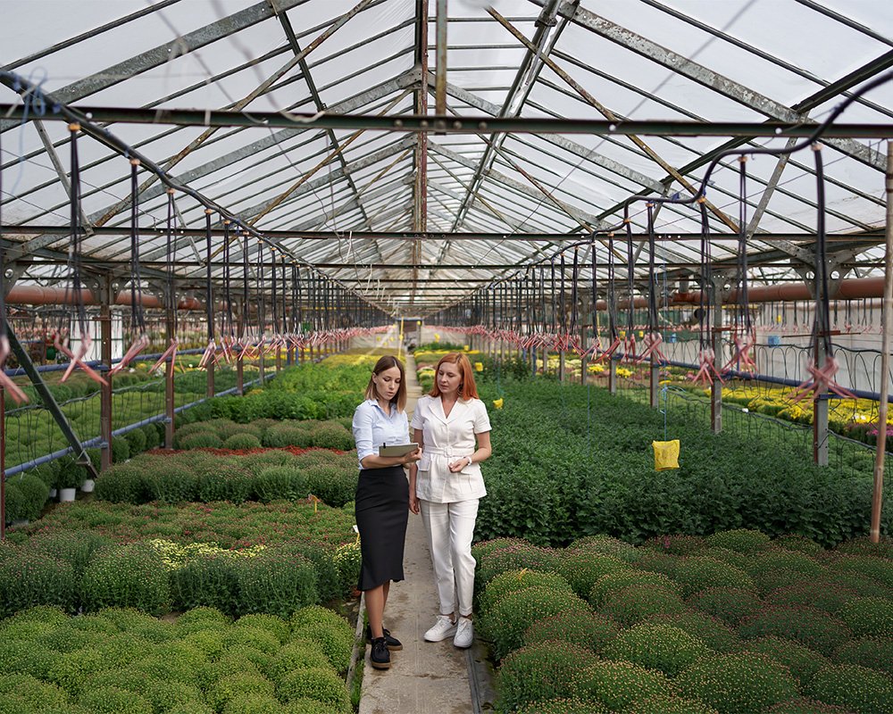 Modern Seralarda Doğru Konstrüksiyonun Önemi