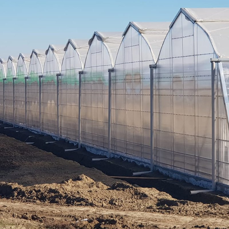 Plastik ve Polikarbon Seralar