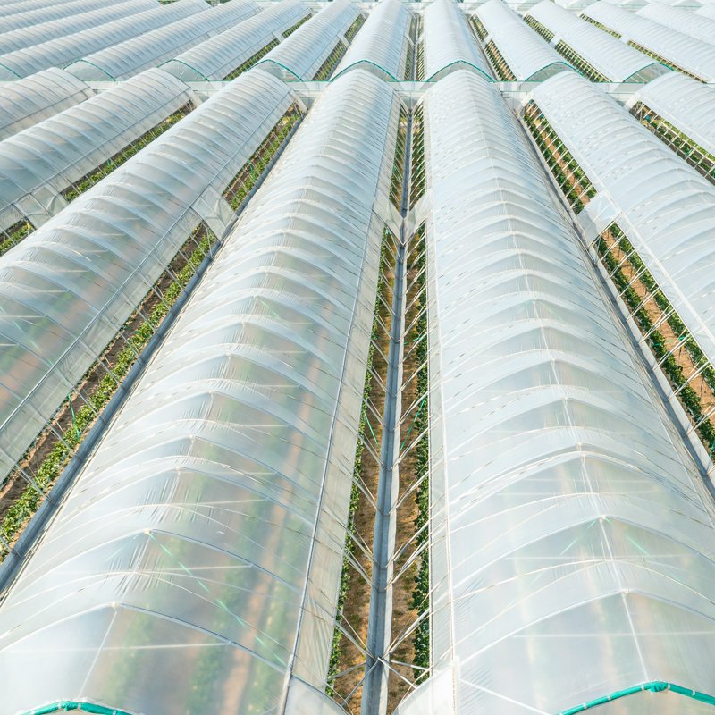 Polikarbon Ürünler